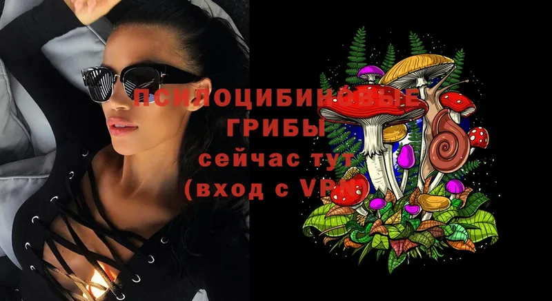 Галлюциногенные грибы Cubensis  блэк спрут зеркало  Белоусово 